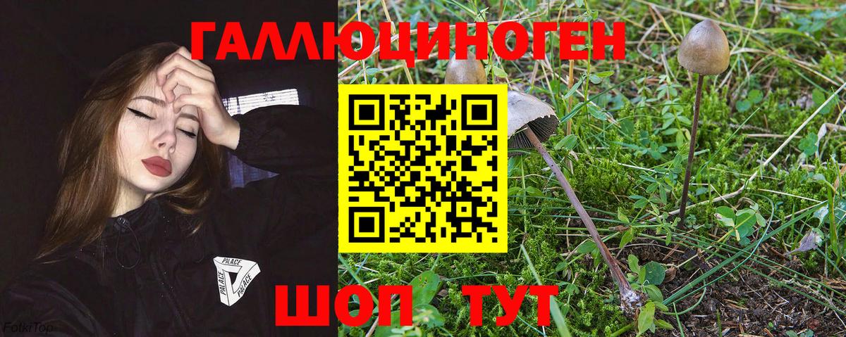 Псилоцибиновые грибы Psilocybine cubensis  Вход с VPN  Орск 